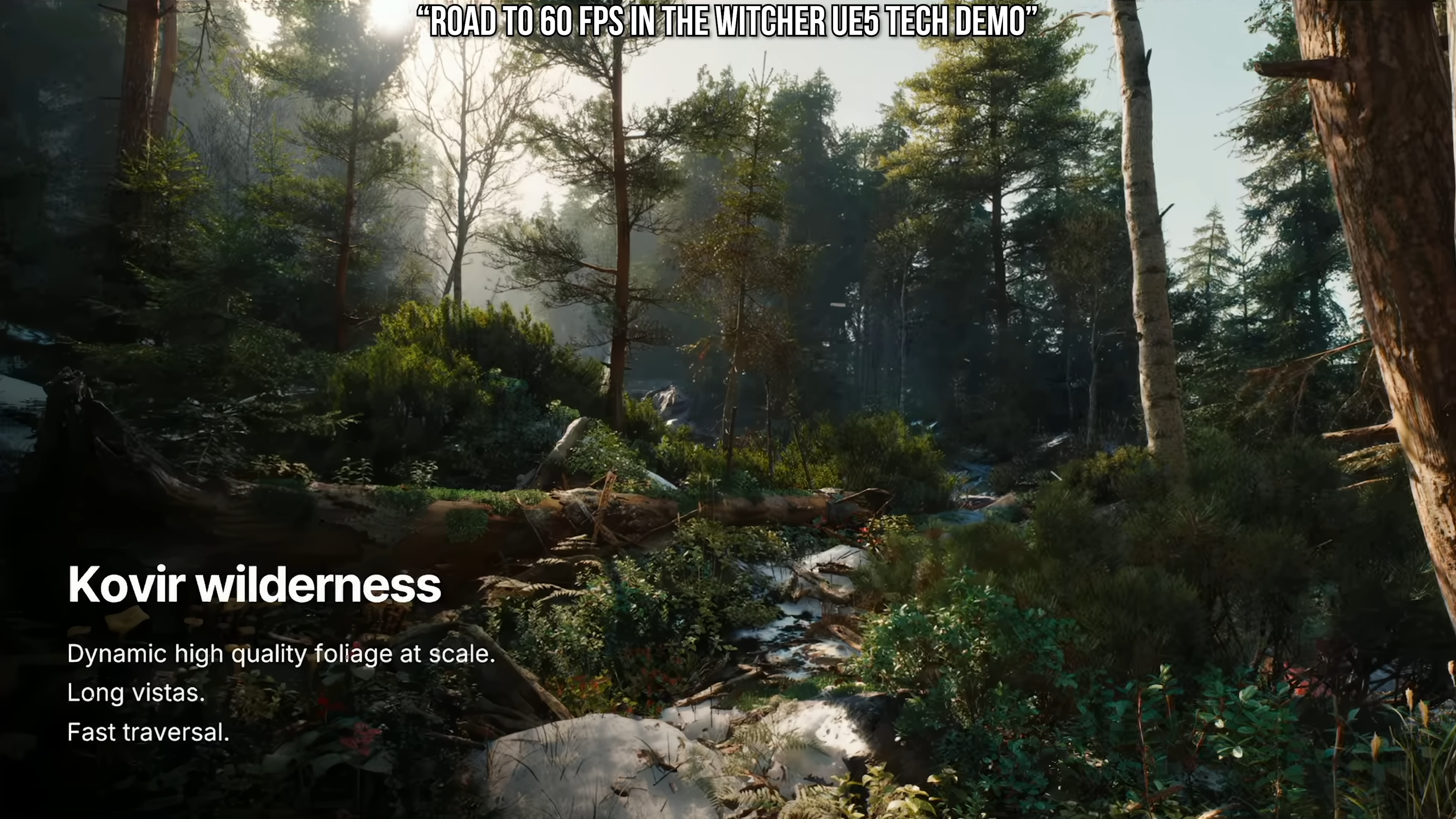 Road to 60fps in The Witcher UE5 tech demo presentation still - kovir wilderness