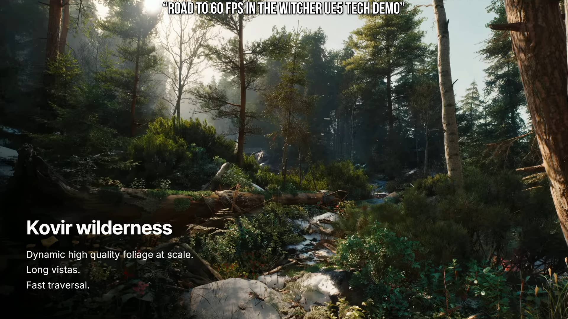 Road to 60fps in The Witcher UE5 tech demo presentation still - kovir wilderness