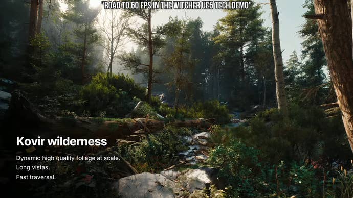 Road to 60fps in The Witcher UE5 tech demo presentation still - kovir wilderness