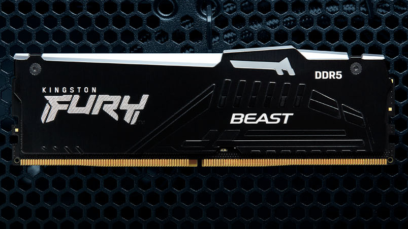 A module of Kingston Fury Beast DDR5 RAM.