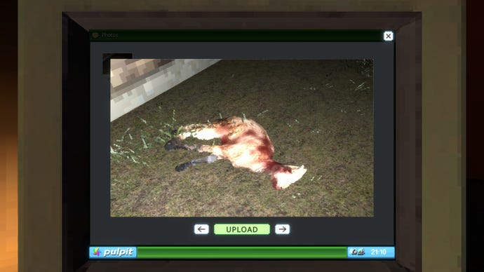 A photo of a mangled goat, taken at night with a powerful flash, posted on the noticeboard at Krypta FM radio.