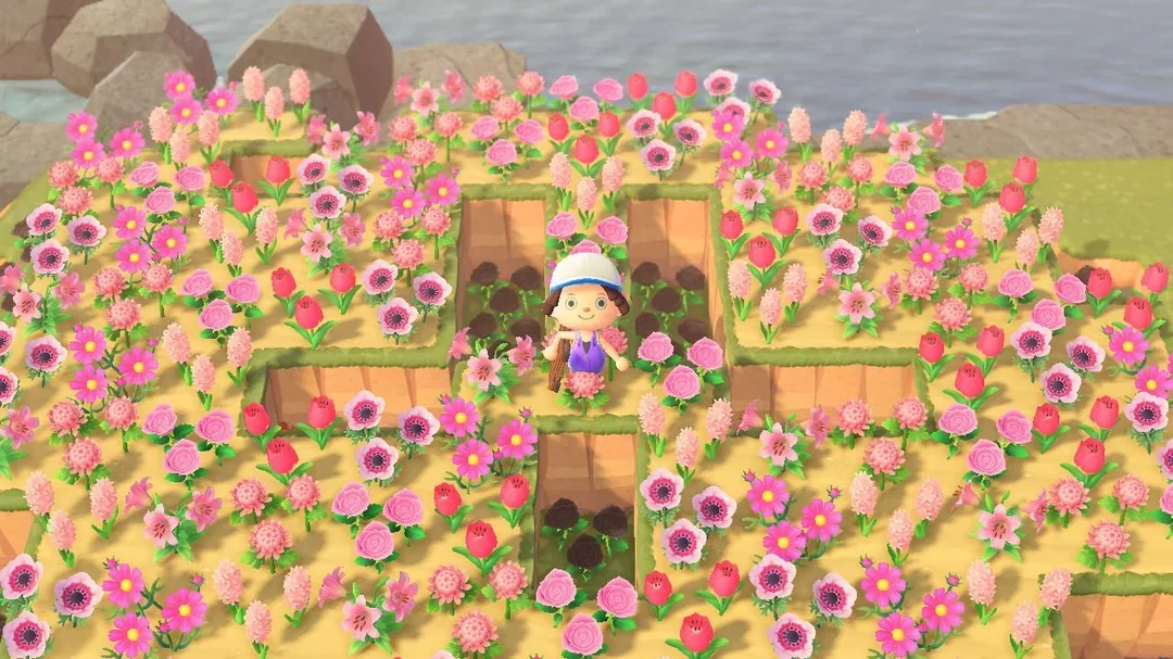Lots of pink flowers on Dittonga in Animal Crossing