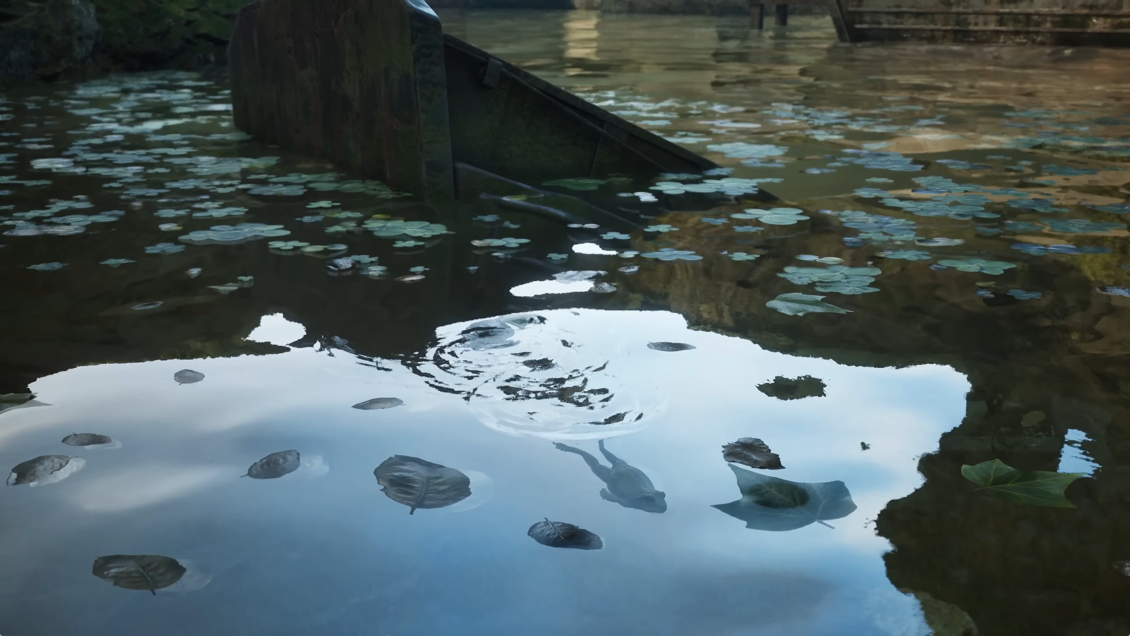 Small frog swimming underwater in Metal Gear Solid Delta: Snake Eater