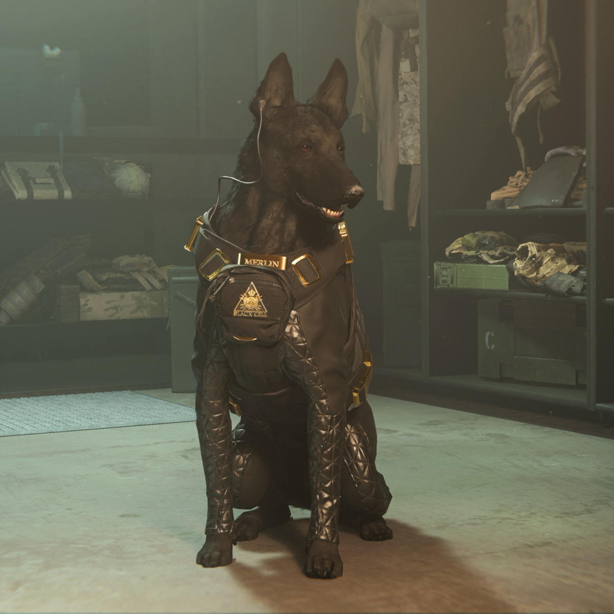 Merlon Dog Call Of Duty Dog Call Of Duty Modern Warfare II's Merlin Is Not A Good