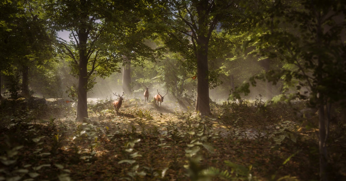 Mainframe Industries raises €20m for "cloud-native MMO"