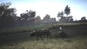 A woman ploughs a field with an ox in Manor lords