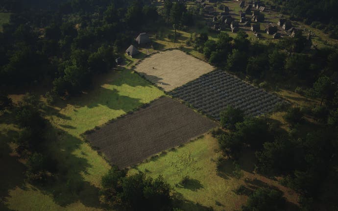 An overhead view of three field types surrounded by forest in Manor Lords