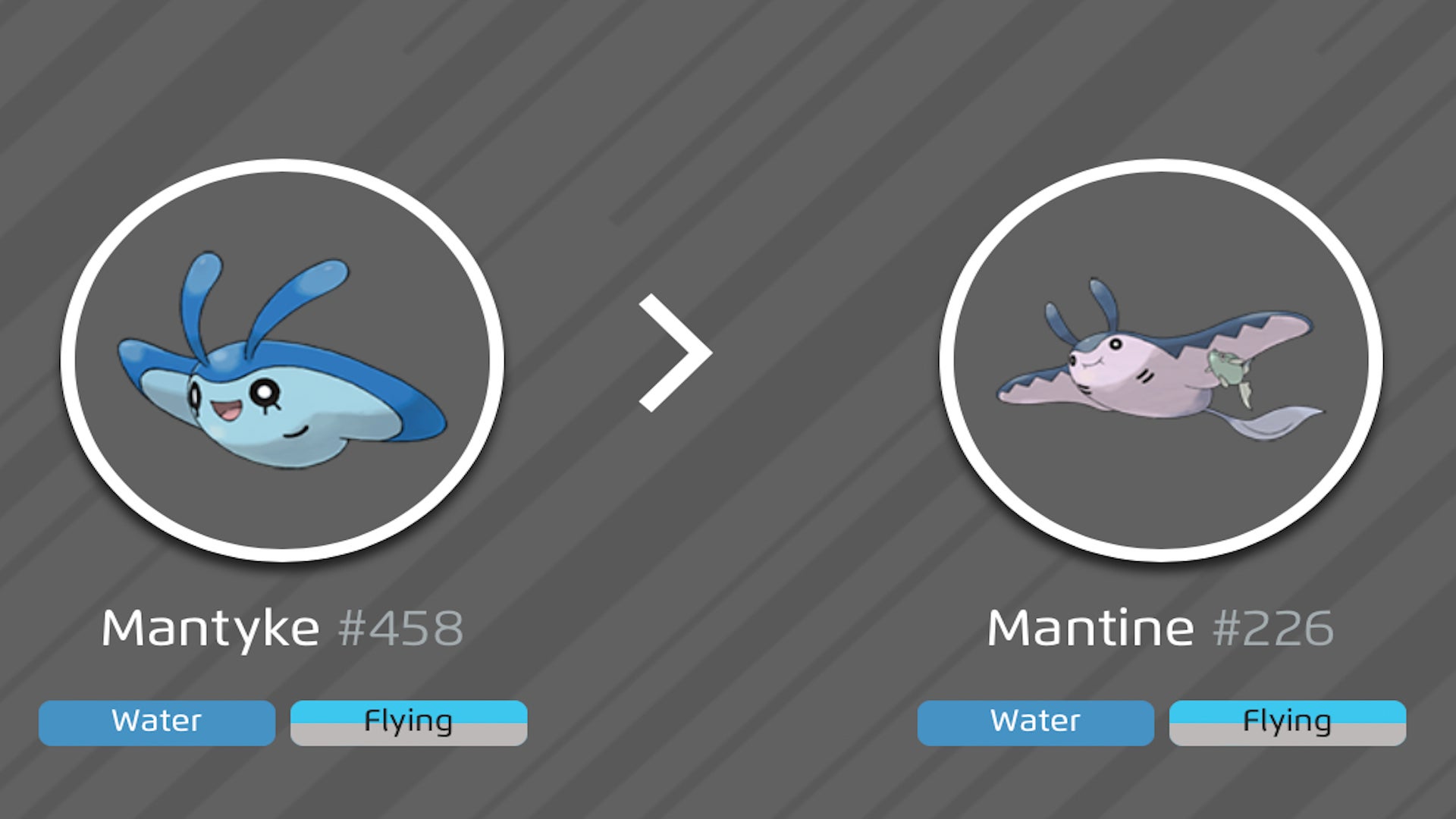 Pokemon Mantine Evolution Mantine Evolution | Free Images At Clker.com