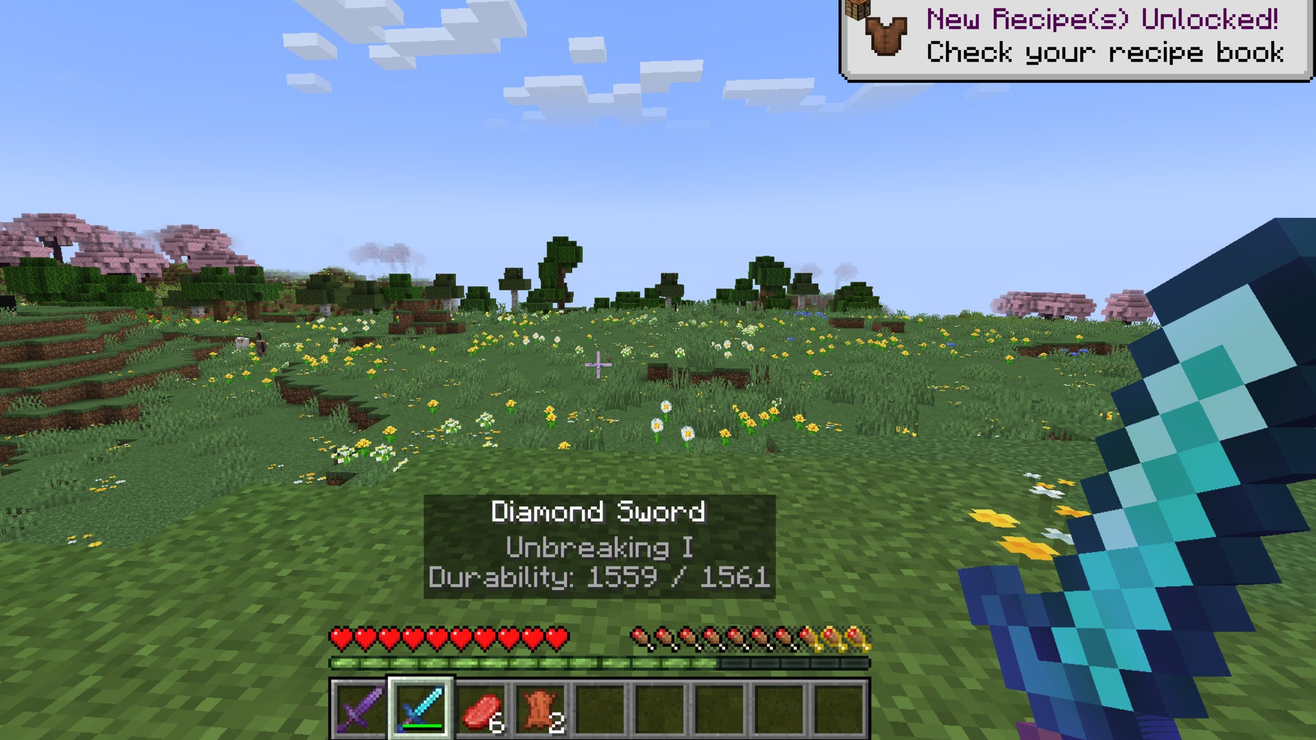 The player looks out at a field while viewing the tooltips of their held item using the Held Items Tooltips mod in Minecraft - 8