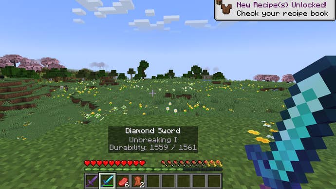 The player looks out at a field while viewing the tooltips of their held item using the Held Items Tooltips mod in Minecraft