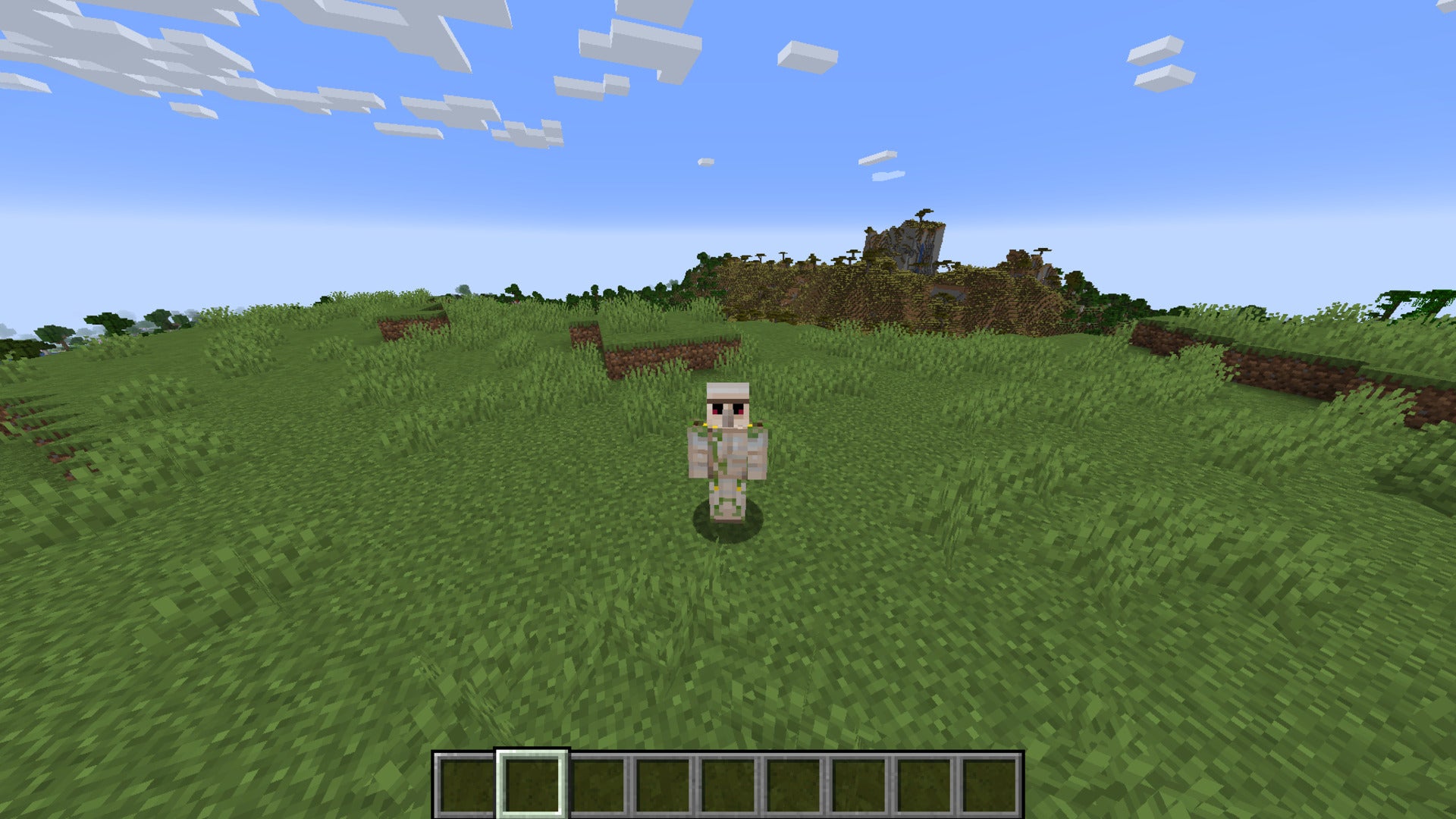 The player, wearing the Iron Golem skin, stands in the plains biome in Minecraft