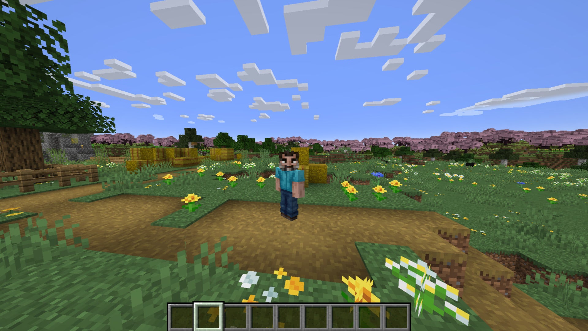 The player wears the Jack Black as Steve Minecraft skin while standing near a village