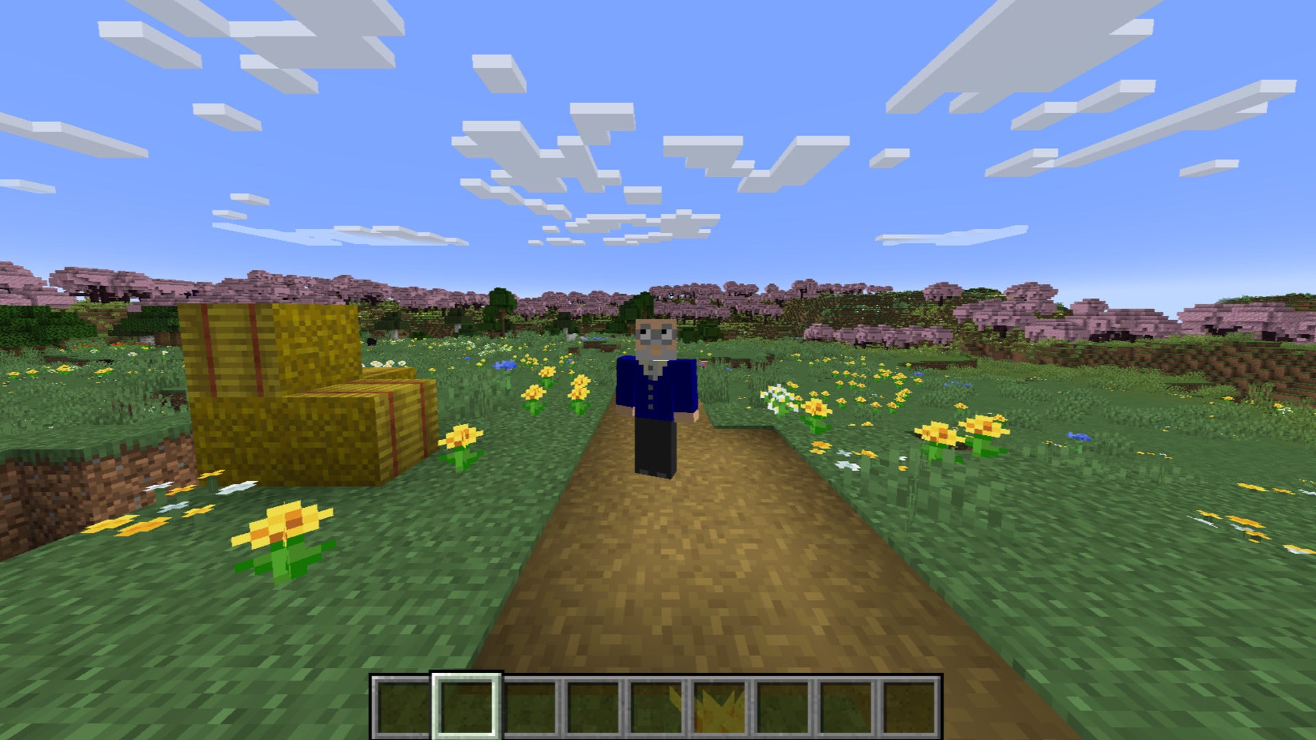 The player wears the Jim Pickens Minecraft skin while standing near a village