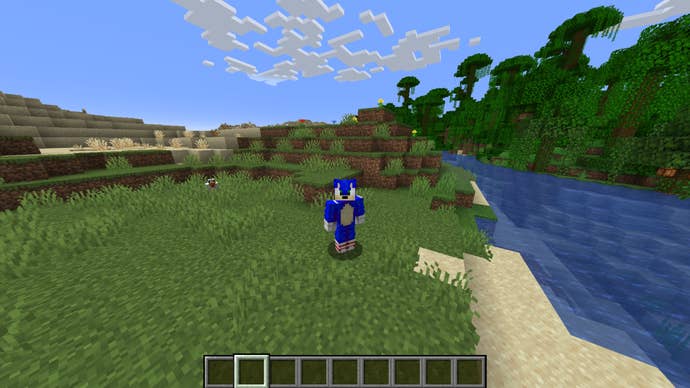 The player is wearing a Sonic the Hedgehog skin while standing on some plains near a beach in Minecraft