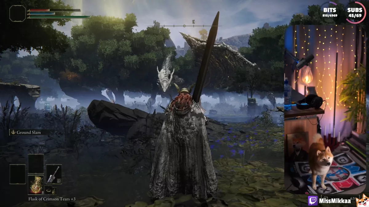 A dog on a dance mat, saving his owner&rsquo;s life in Elden Ring