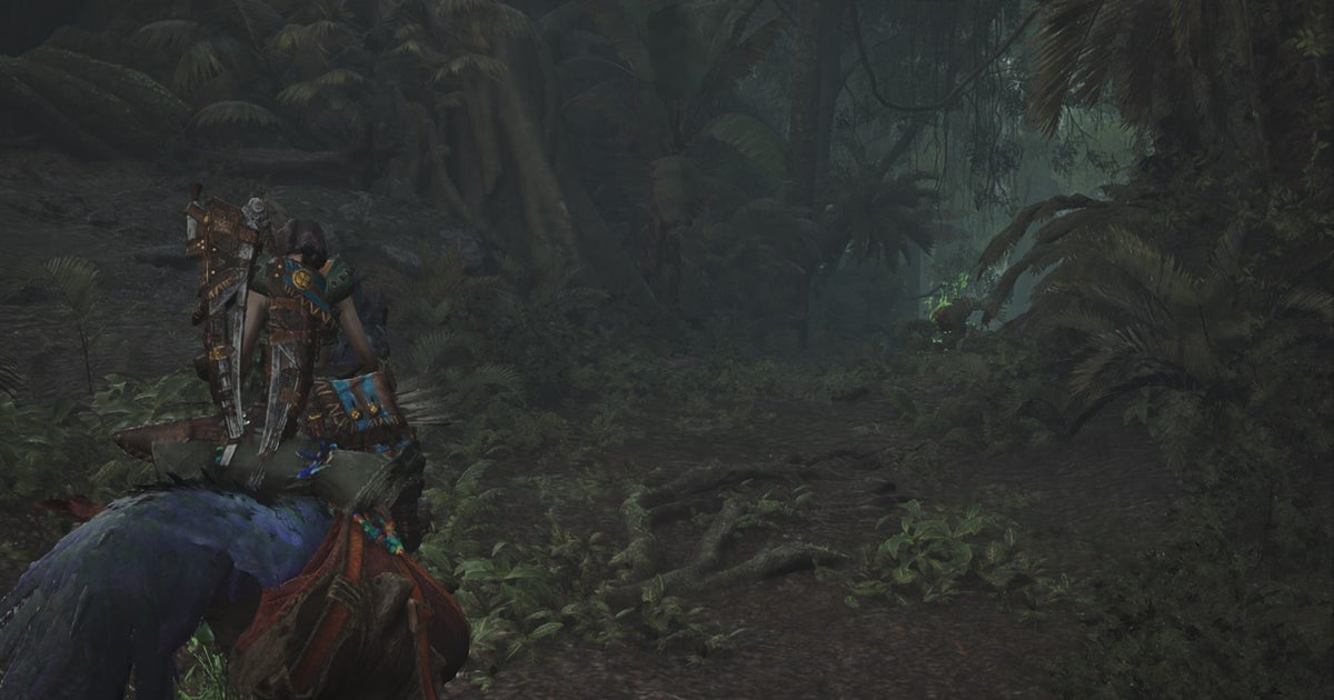 Where to find a Dapperwing in Monster Hunter Wilds | VG247