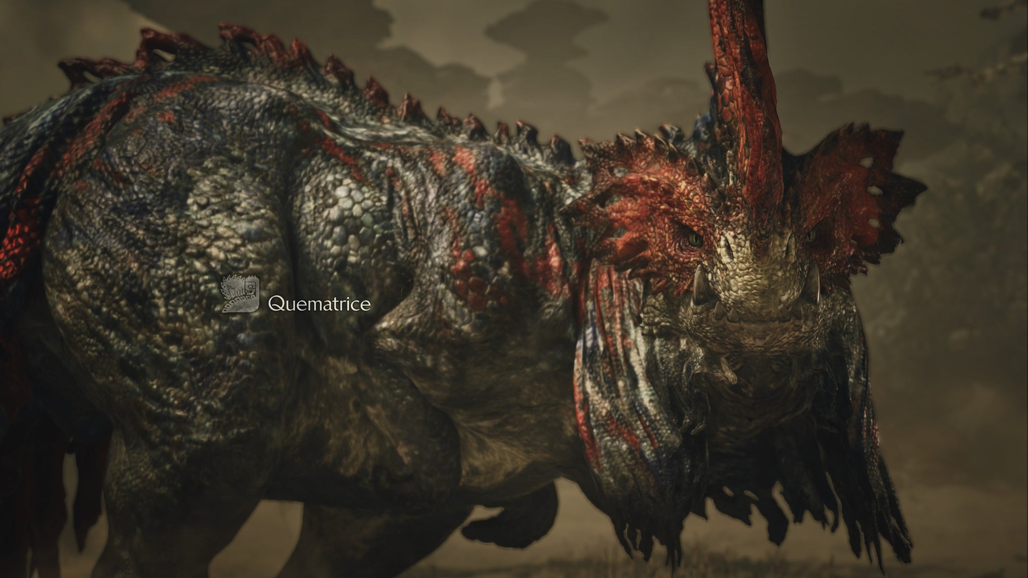 Monster Hunter Wilds screenshot showing a large Quematrice monster up close. - 6