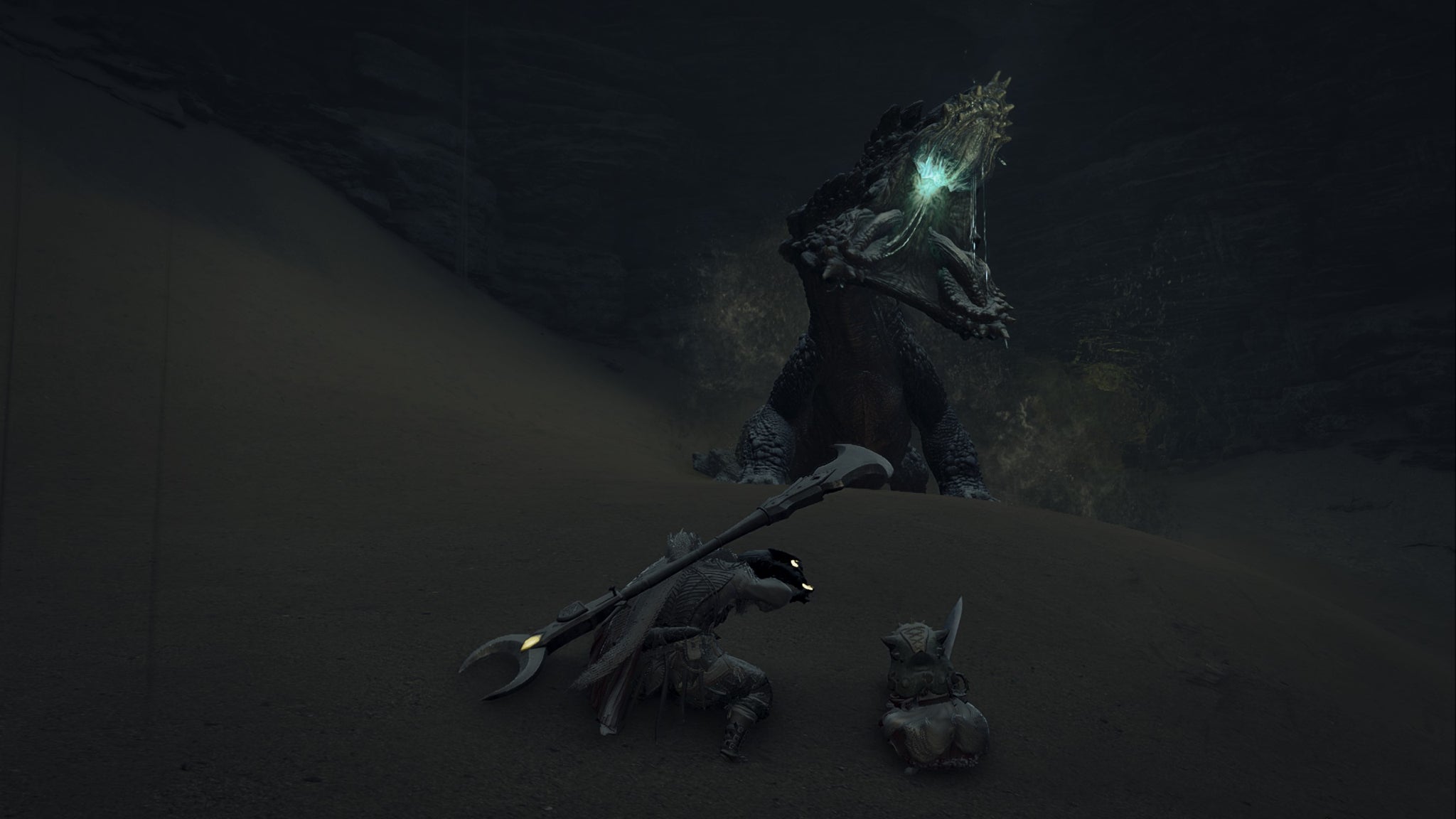 Monster Hunter Wilds screenshot shows the hunter and palico underground in front of a roaring Balahara. - 5