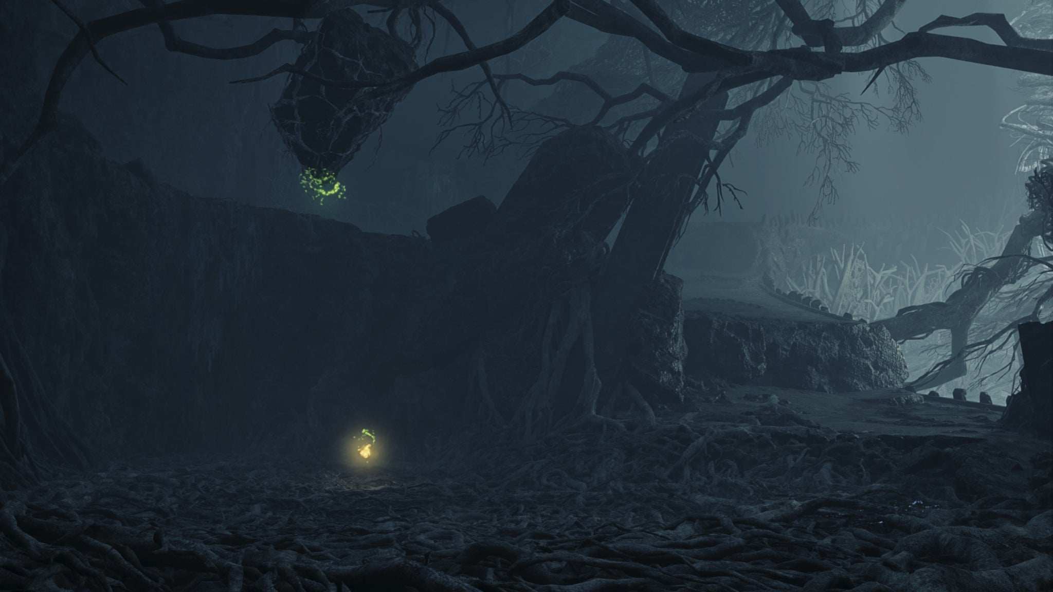 A Monster Hunter Wilds screenshot showing an entangled rock floating above tree roots in the Ruins of Wyveria. - 7
