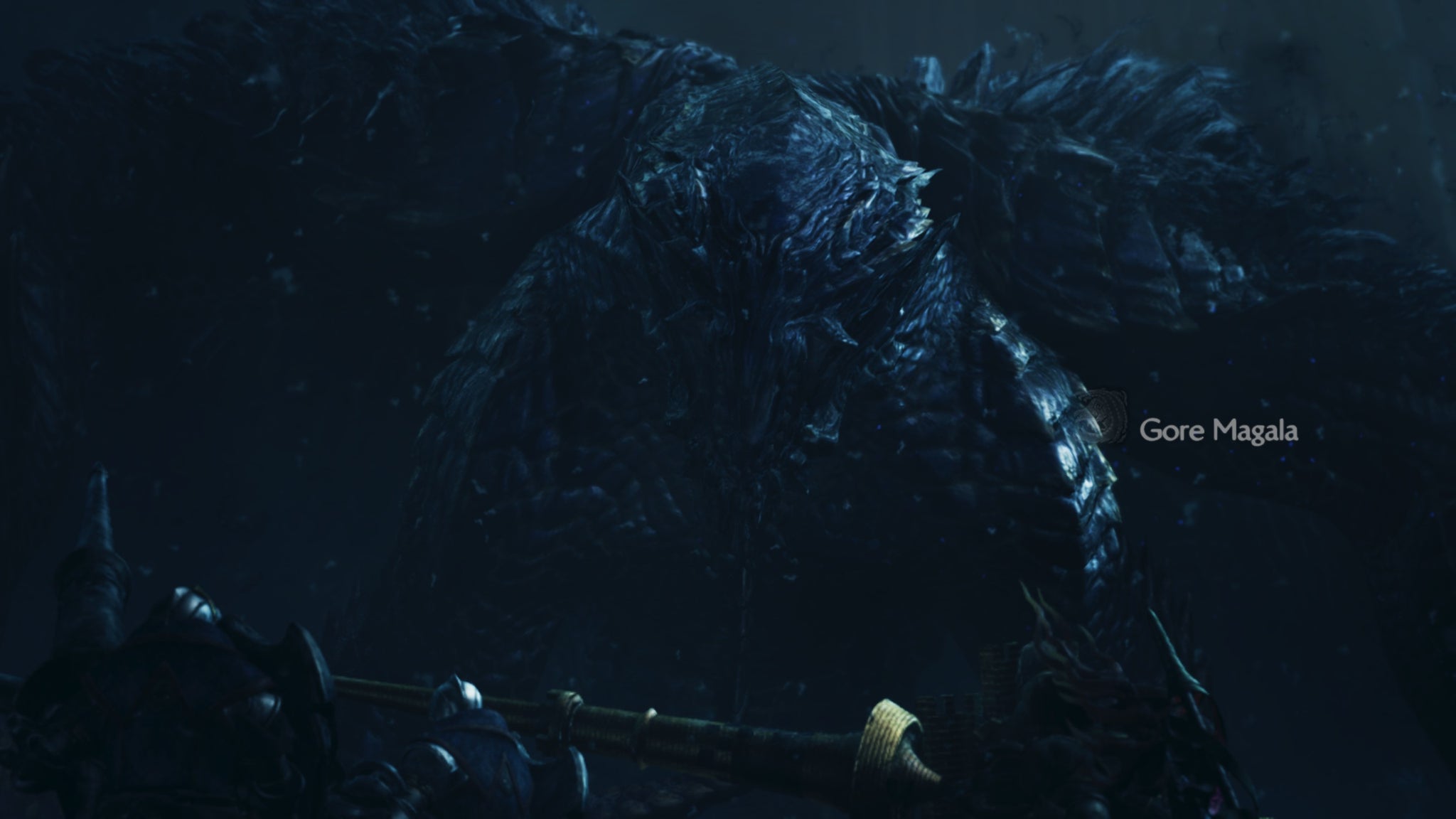 A Monster Hunter Wilds screenshot close-up of the large Gore Magala monster. - 11