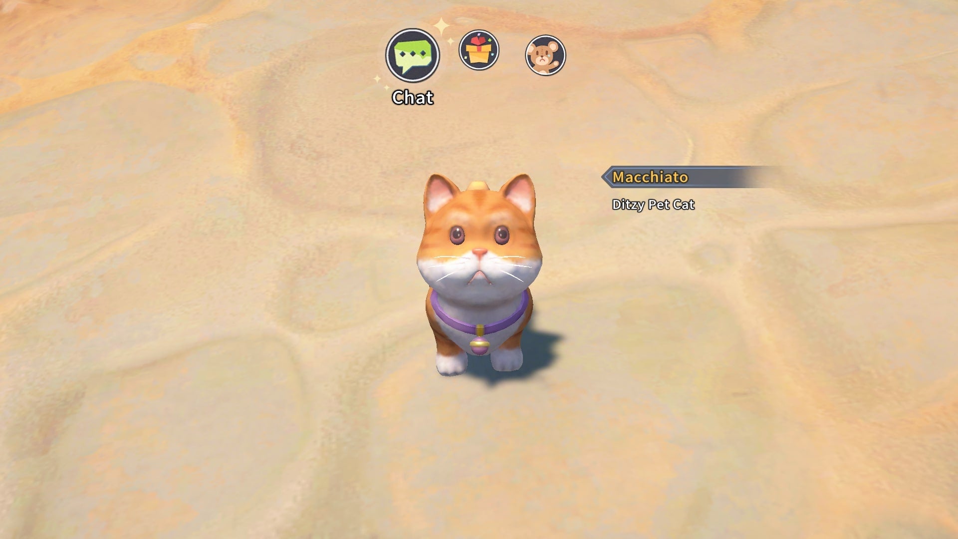 The player is in conversation with Macchiatio, a ditzy pet cat in My Time at Sandrock - 1