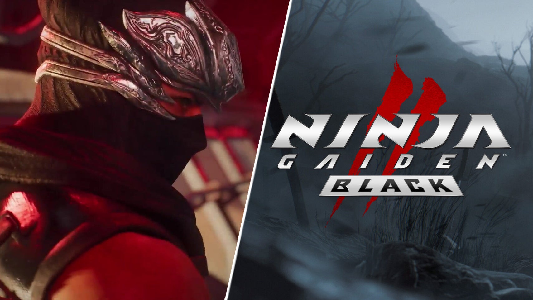 Ninja Gaiden 2 Black custom header image - 1