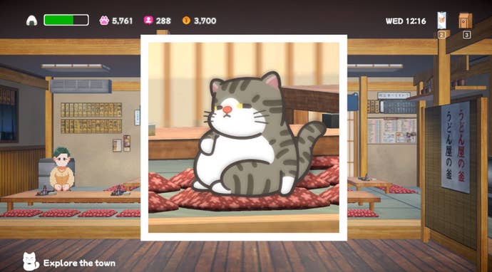 A photograph of a cat rubbing its belly in Neko Odyssey.