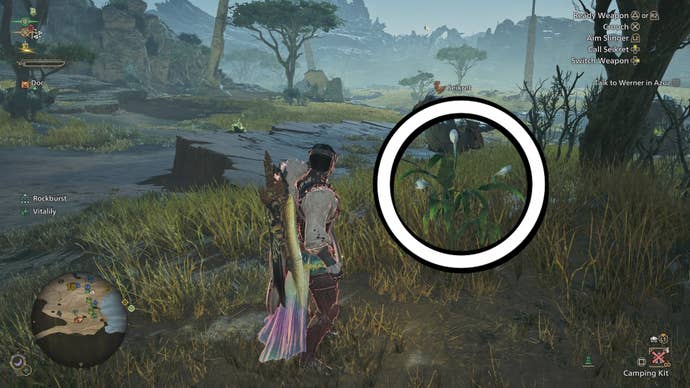 Standing by an Ephemeral Blossom, which is circled, in Monster Hunter Wilds.