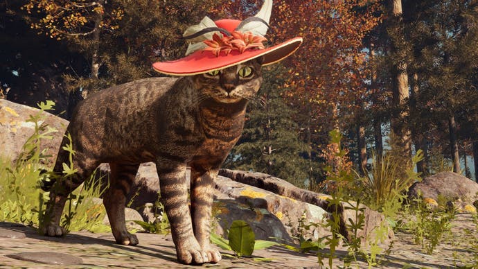 Nightingale header image showing a cat in a hat