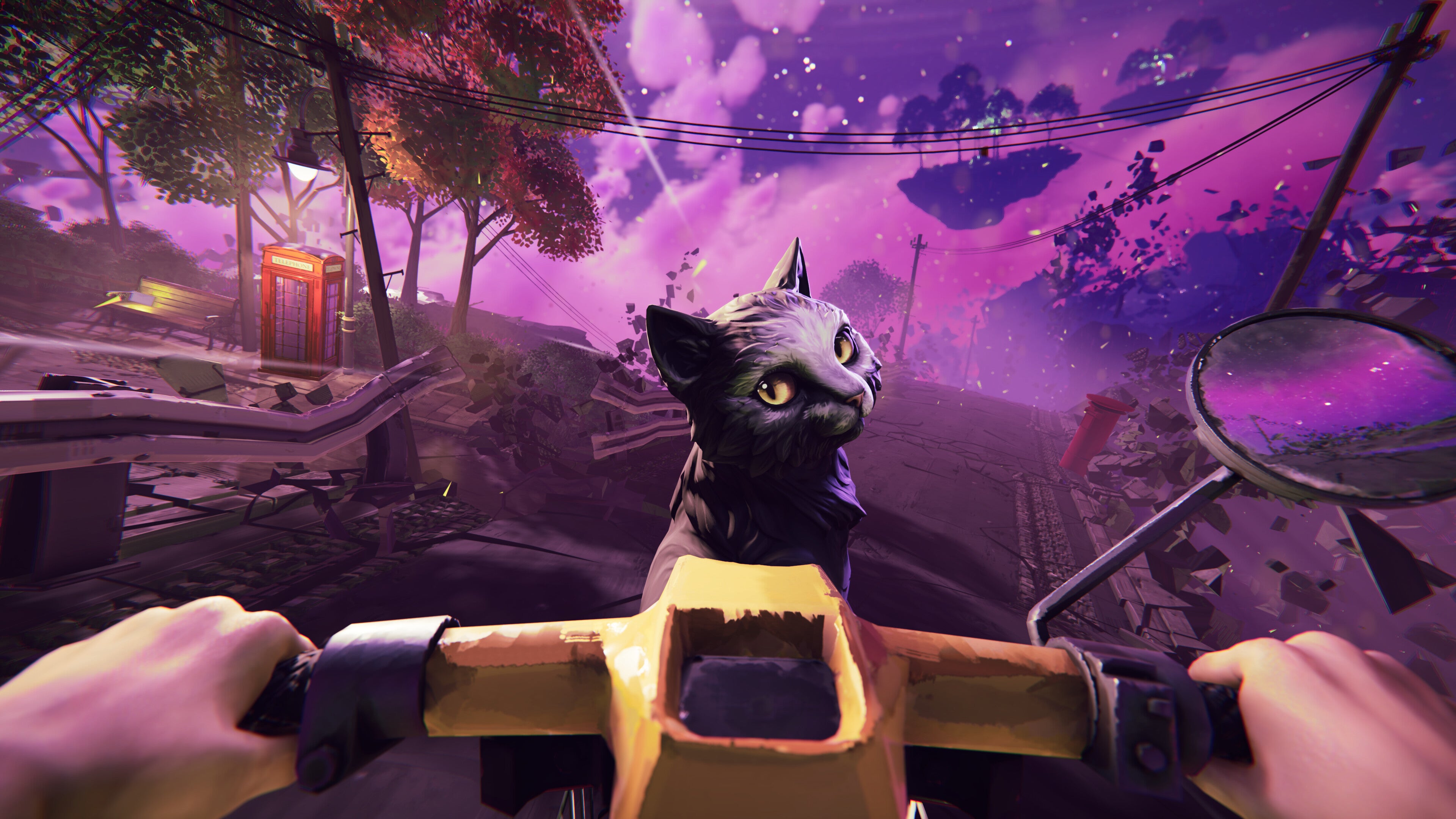 A black cat is seen riding at the front of a bike, looking back at the rider.
