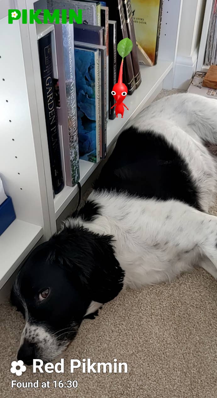 The Captain sprouted a Pikmin