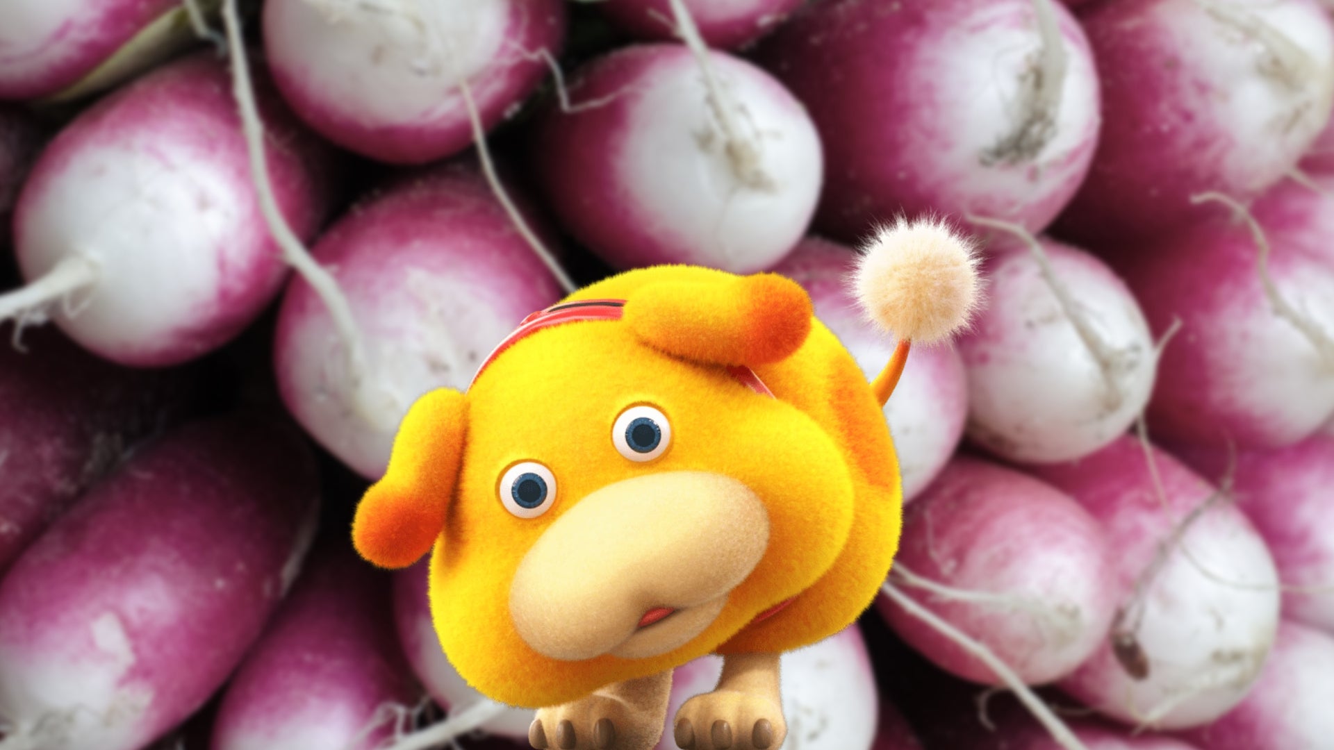 Definitely tastes like a radish” - 1