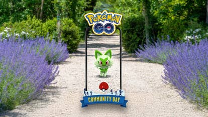 Sprigatito, the grass cat Pokémon.
