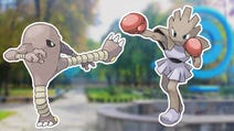 Hitmonlee and Hitmonchan 100% perfect IV stats, shiny Hitmonlee and Hitmonchan in Pokémon Go