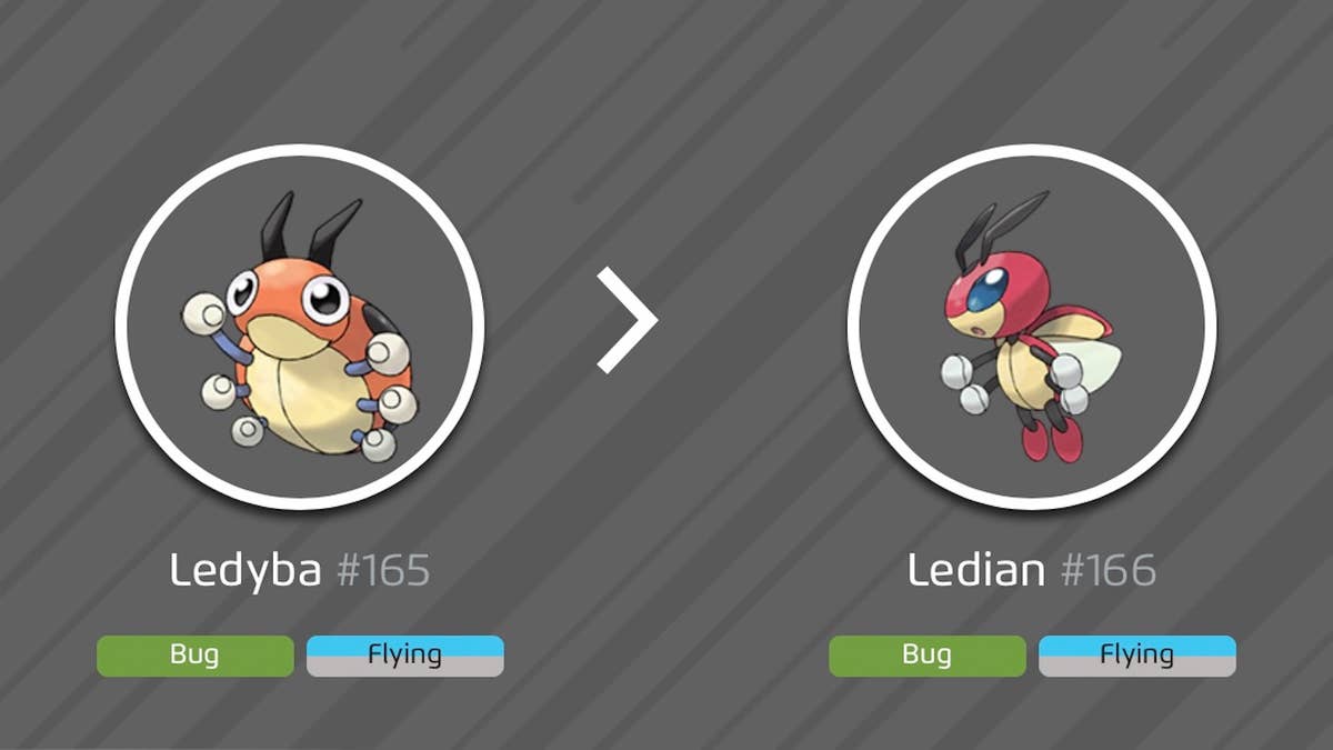 Ledtba Evolution Pokemon Ledyba Evolution 166 Ledian In Pokémon GO — Pokémon GO Dex