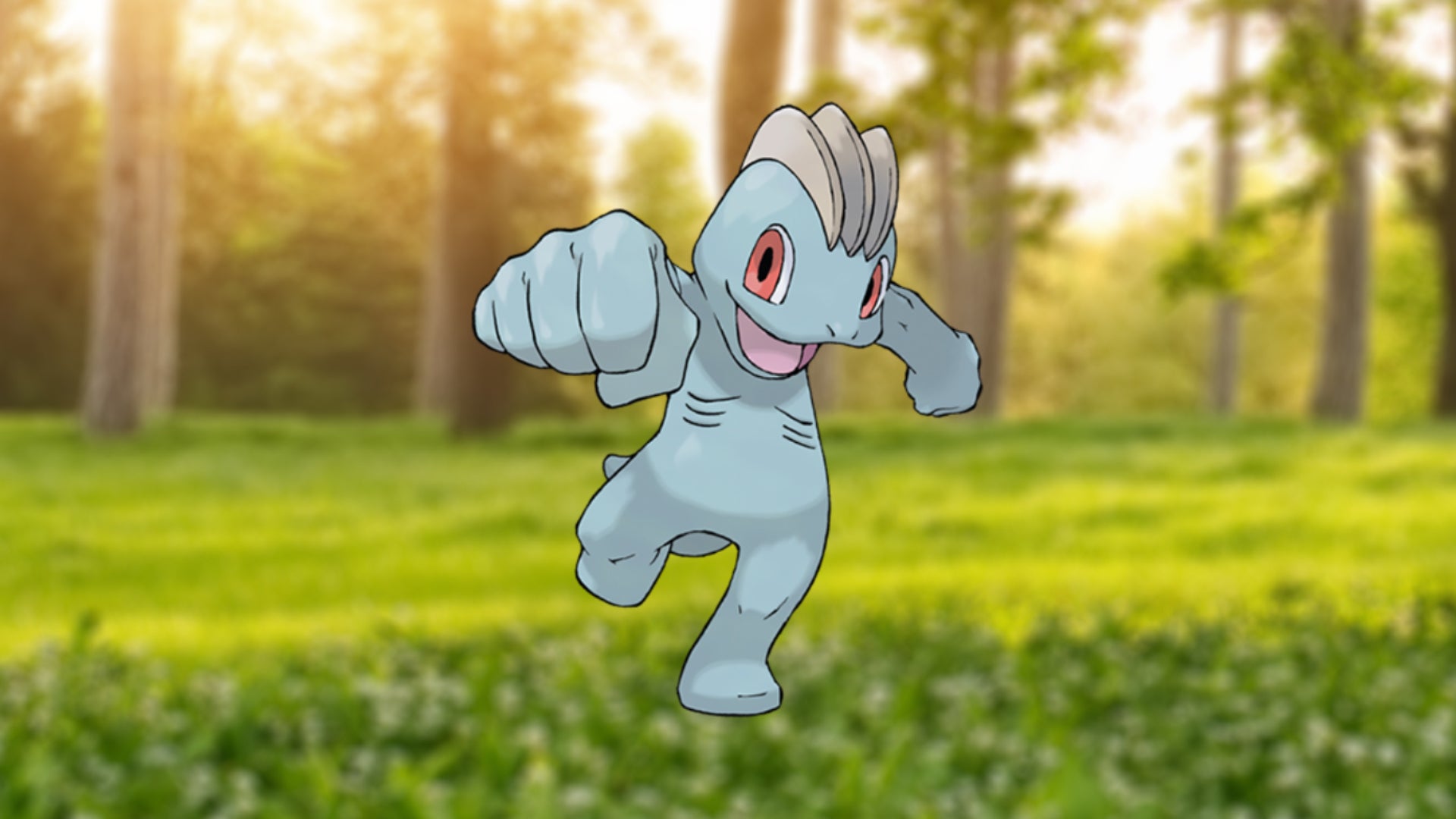 Machop store