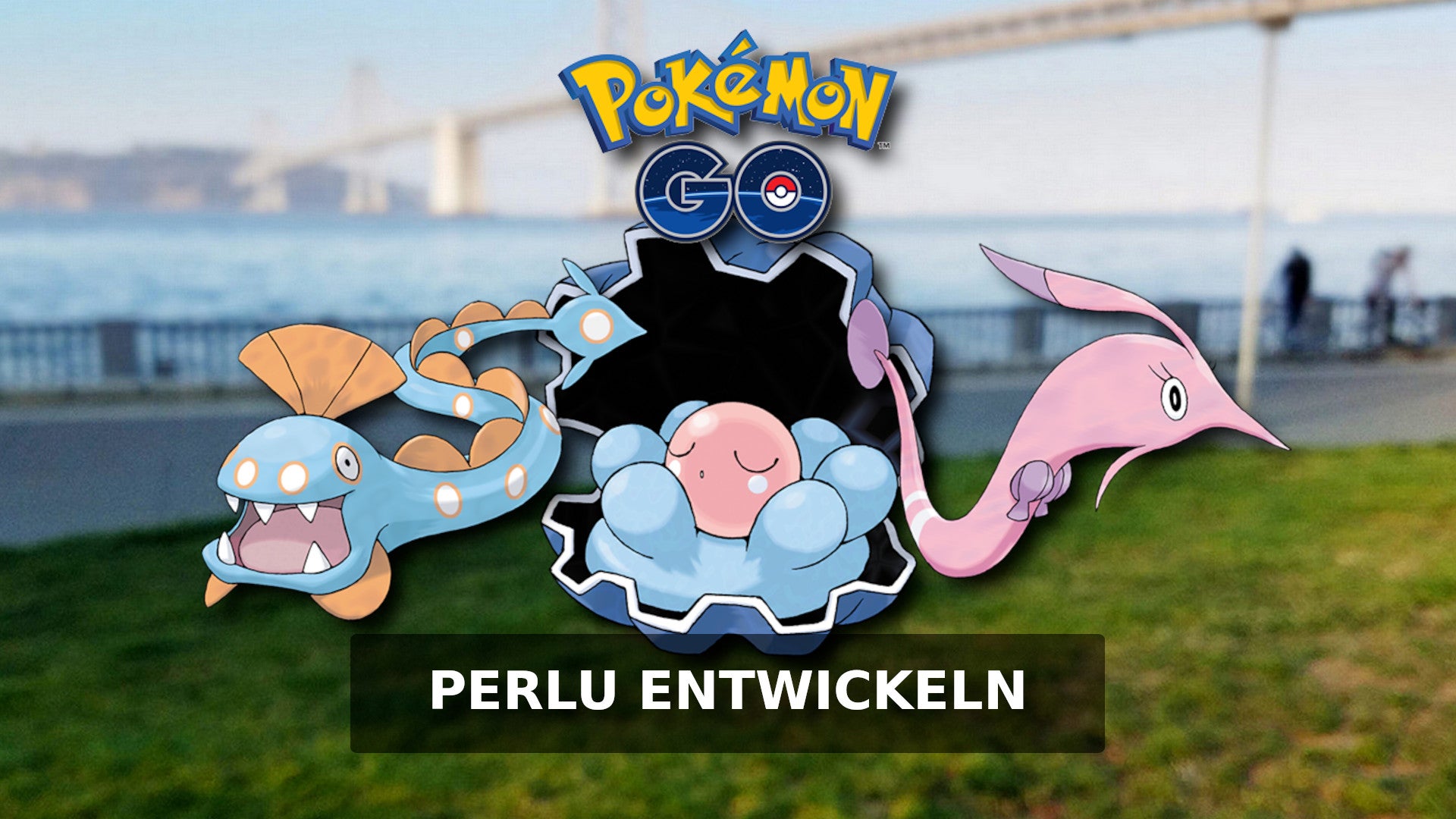 Pokémon Go: Perlu entwickeln - So bekommt ihr Aalabyss und Saganabyss ...