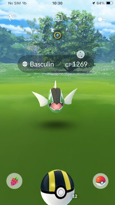 White Striped Basculin encounter in Pokemon Go.