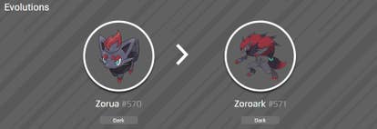 Zora Evolution Pokemon Zorua Evolution Chart