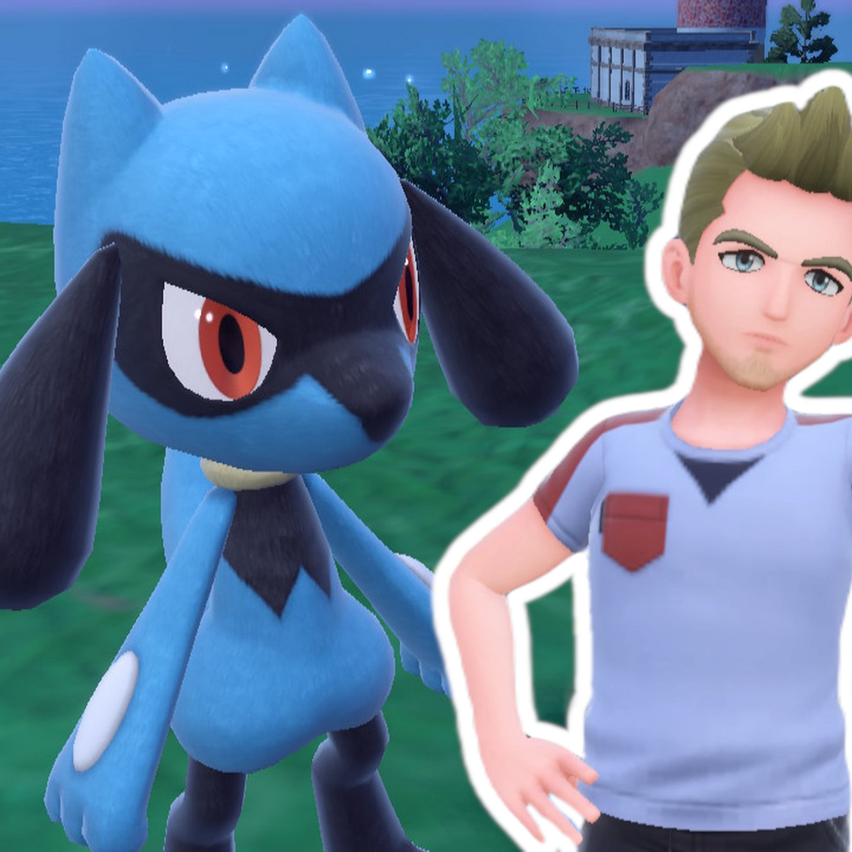 Pokemon Riole Pokemon Riolu E Lucario