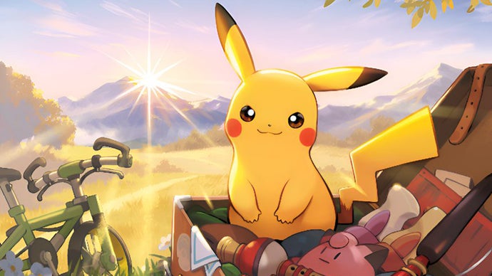 Two brothers admit to stealing more than £71,000 worth of Pokémon TCG cards after failing to escape the police and hide the loot