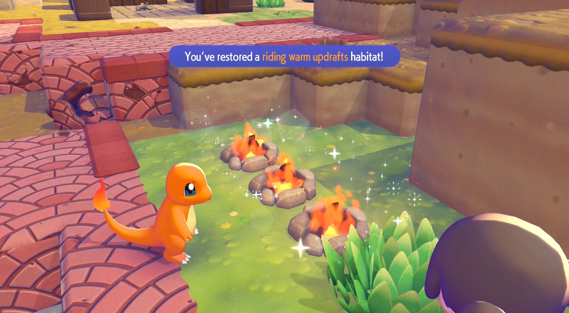 Making a habitat in Pokopia.