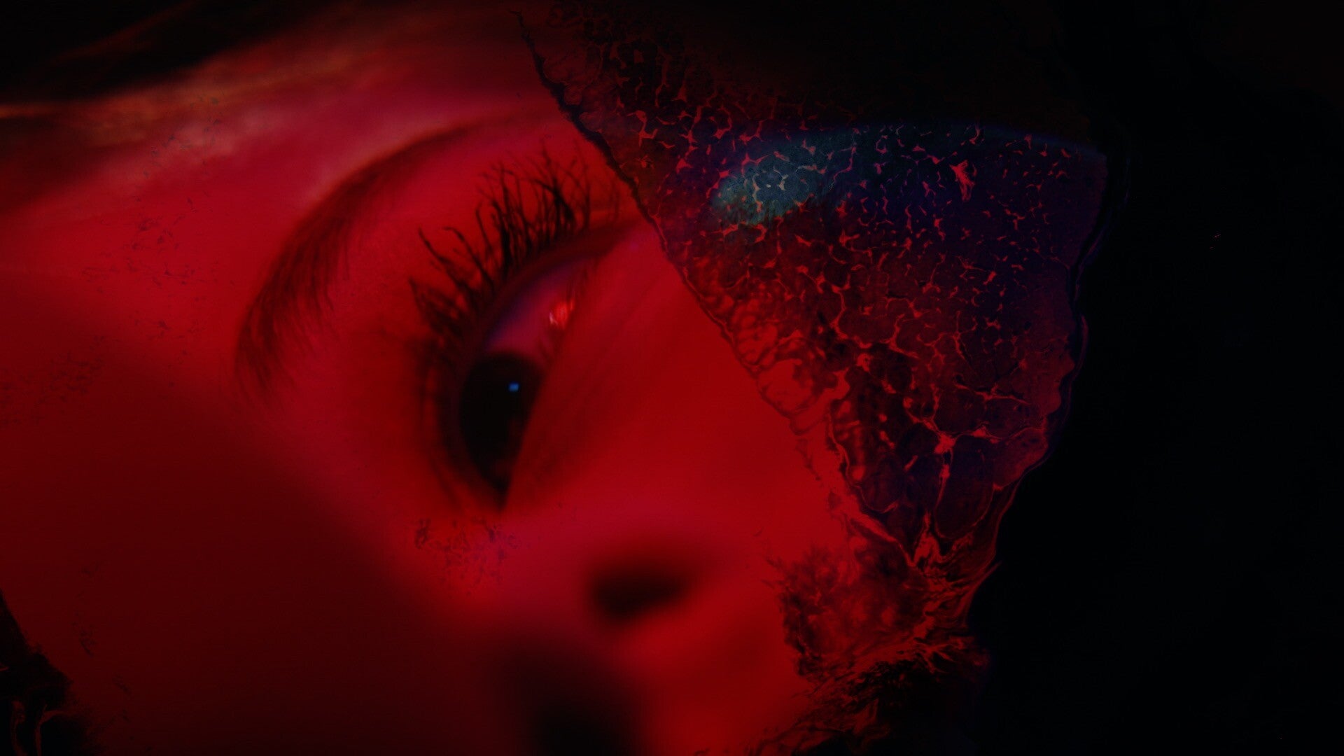 A promotional screen for Half Mermaid's Project C, showing a close up of a woman's eye, in red - 1