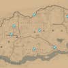 A screenshot of the Red Dead Redemption 2 map that shows the locations of all Dinosaur Bones around New Austin