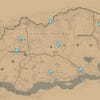 A screenshot of the Red Dead Redemption 2 map that shows the locations of all Dinosaur Bones around New Austin