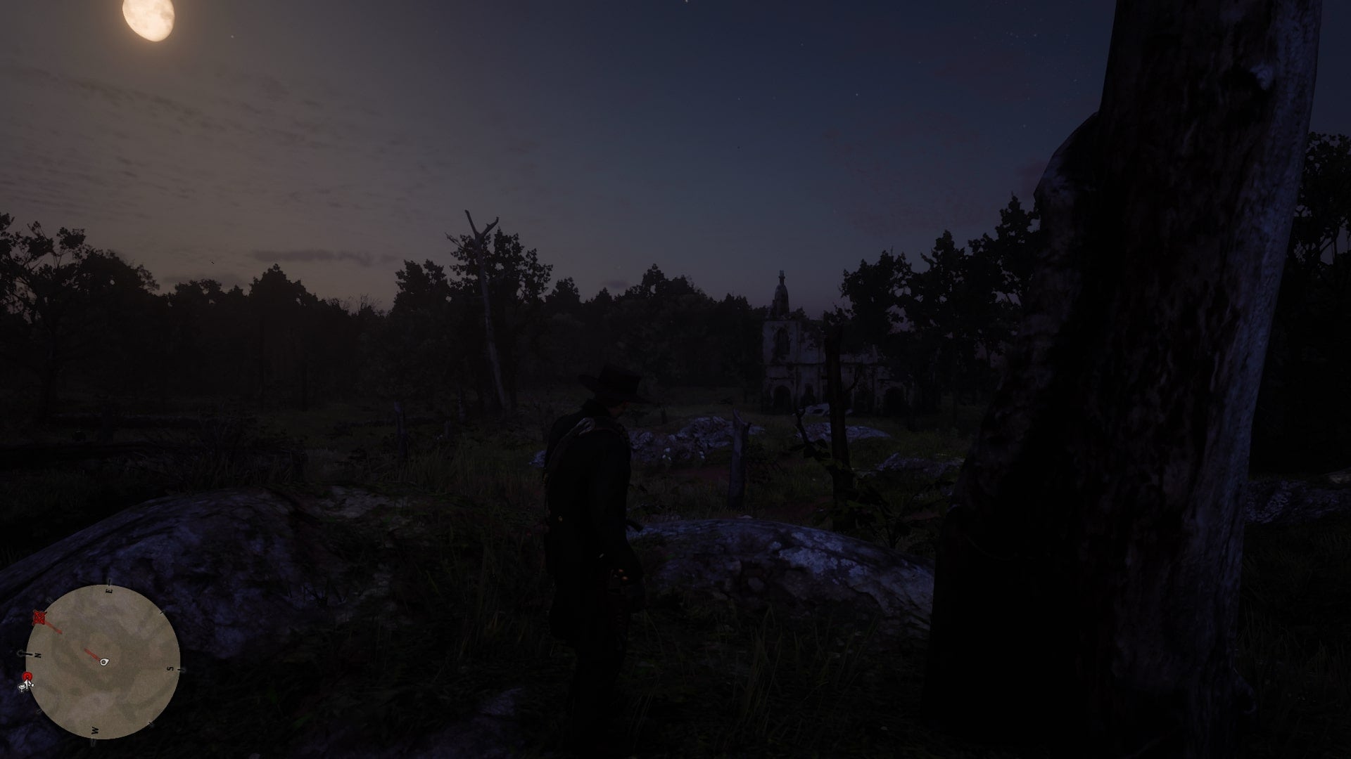 A tree on a hill in Red Dead Redemption 2 which has the final map for the Landmark of Riches Treasure hunt. - 9