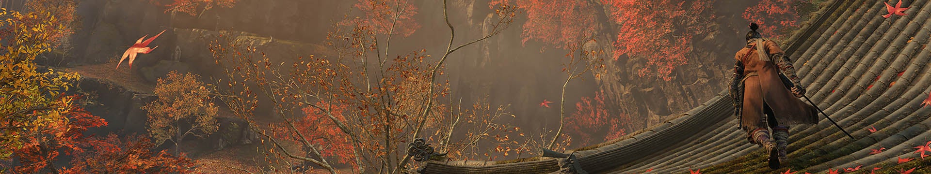 C'mon, FromSoftware, give us a cheeky Bloodborne. We're showing the love here. - 55