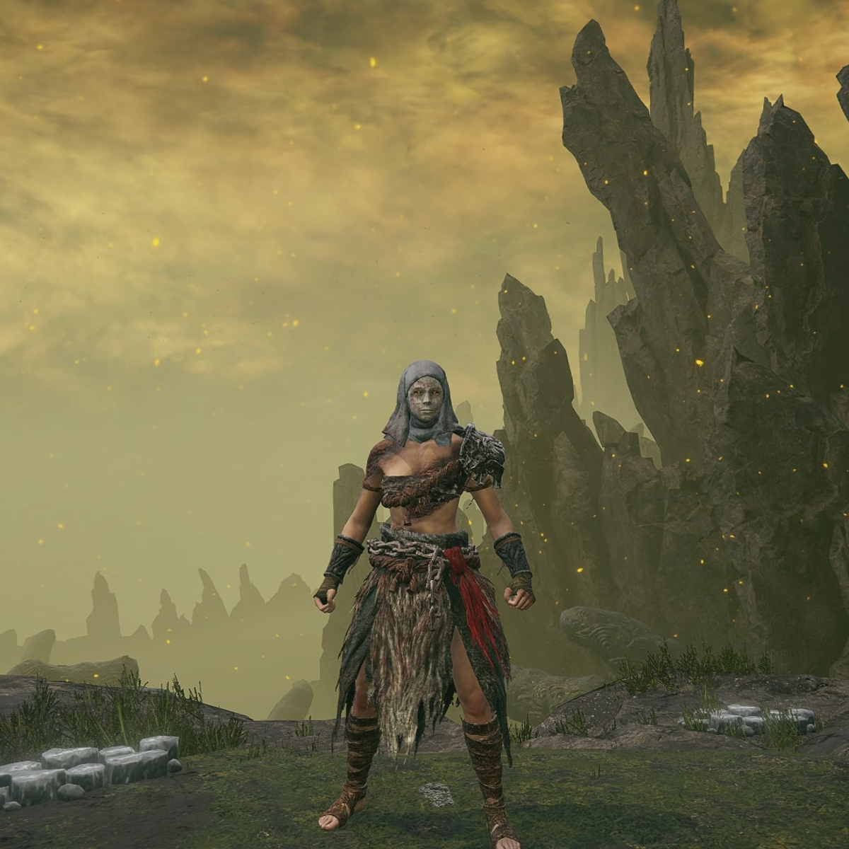 Elden Ring Shadow of the Erdtree Best Dryleaf Arts Build | VG247