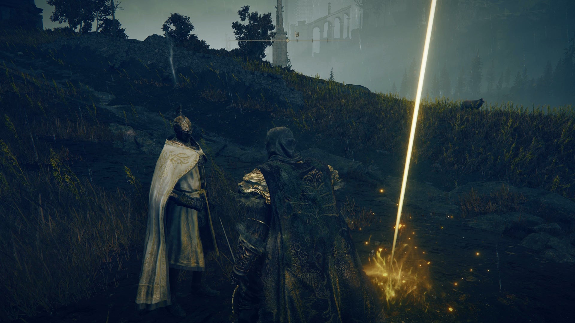 The Tarnished speaks with Needle Knight Leda in Elden Ring Shadow of the Erdtree - 1