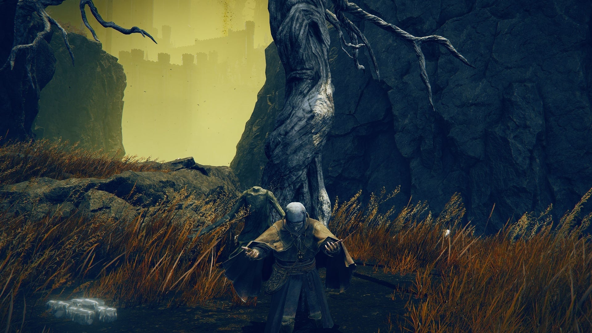 The Tarnished performs the O Mother gesture in front of the tree where it is found in Elden Ring Shadow of the Erdtree - 1